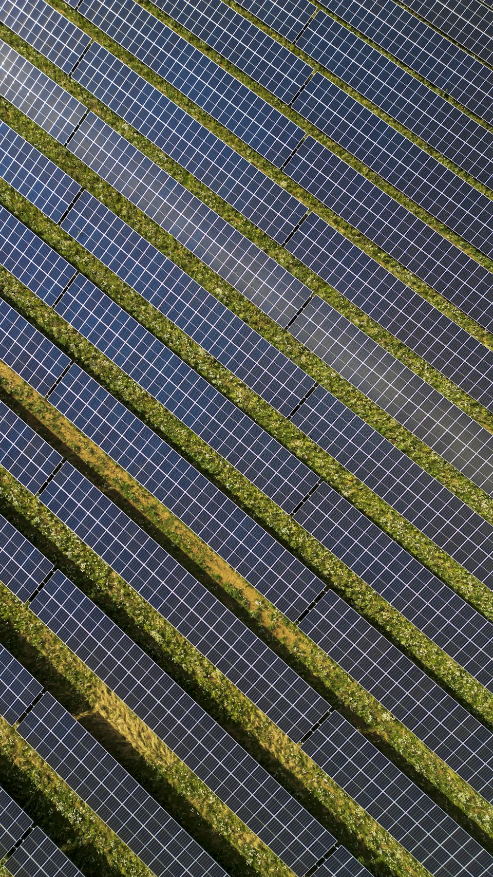 Long rows of solar panels stretching across a field